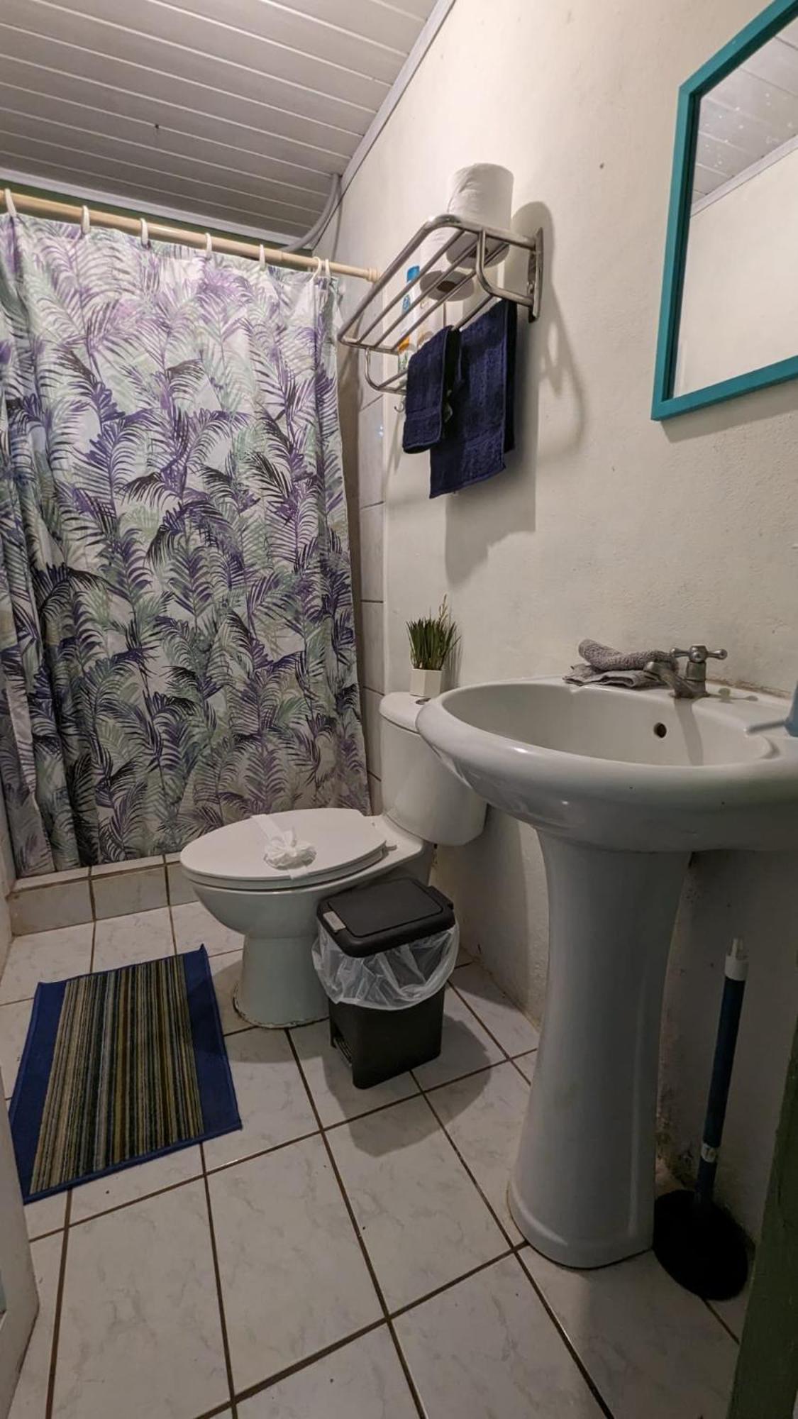 Iguana Street Houses ココ エクステリア 写真